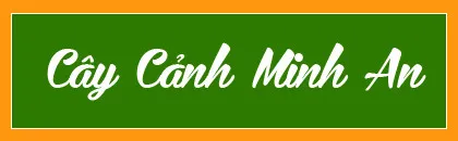 Sản phẩm z2858441574454_248b7aa4691b14071cf6c4eaeee941cb — Công Ty TNHH Đầu Tư Phát Triển Dịch Vụ Và Thương Mại Minh An — MST 0106006259