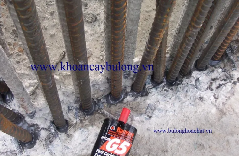 Sản phẩm HoA CHaT G5.JPG — Công Ty TNHH Đầu Tư & Thương Mại TLC Việt Nam — MST 0106009651
