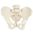 Sản phẩm 54cc0f8f0744a454149008a9cc7bf81c — Công Ty Cổ Phần Thương Mại Thiết Bị Khoa Học Kỹ Thuật Việt Nam — MST 0106035147