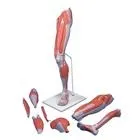 Sản phẩm 9d8cd5528d9e5c06aaeefd1119d4b966 — Công Ty Cổ Phần Thương Mại Thiết Bị Khoa Học Kỹ Thuật Việt Nam — MST 0106035147