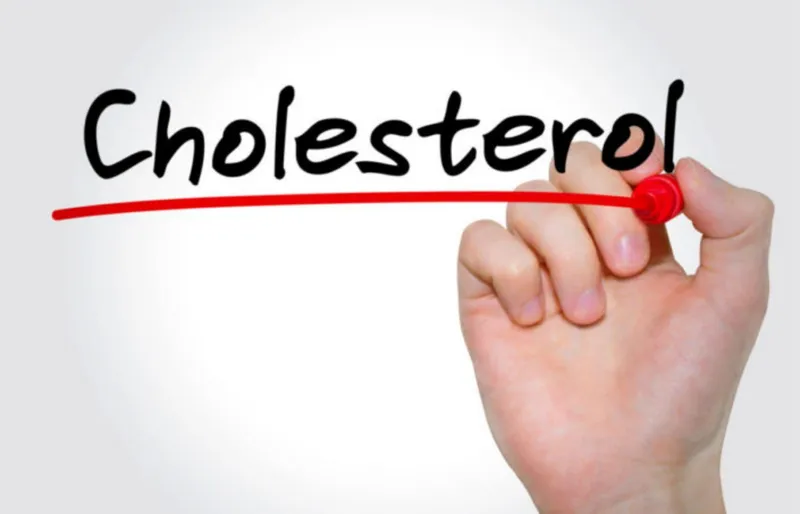 Sản phẩm chi so cholesterol — Bảo Vệ An Ninh 24HVN - Công Ty TNHH Dịch Vụ Bảo Vệ An Ninh 24HVN — MST 0106042031