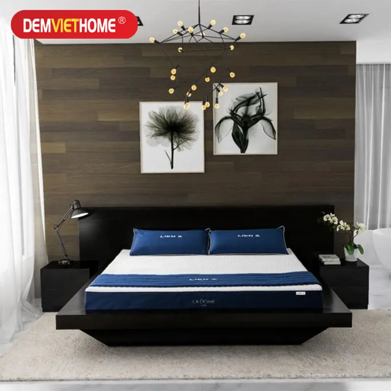 Sản phẩm Dem Cao Su Lien A LA Dome1 1 — Đệm Việt Home - Công Ty CP Thương Mại Và Xây Dựng Techco Việt — MST 0106043638