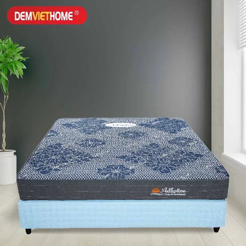 Sản phẩm Dem Foam Tuan Anh Adaptive5 1 — Đệm Việt Home - Công Ty CP Thương Mại Và Xây Dựng Techco Việt — MST 0106043638