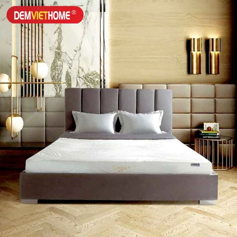 Sản phẩm Dem cao su Lien A Legacy10 — Đệm Việt Home - Công Ty CP Thương Mại Và Xây Dựng Techco Việt — MST 0106043638