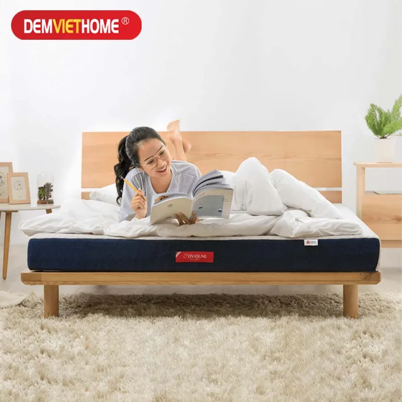 Sản phẩm Dem Foam Oyasumi Original 1 Tam — Đệm Việt Home - Công Ty CP Thương Mại Và Xây Dựng Techco Việt — MST 0106043638