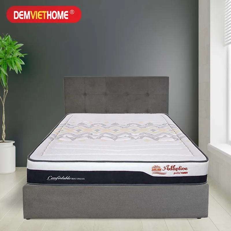 Sản phẩm Dem Foam Tuan Anh Quilted Adaptive4 — Đệm Việt Home - Công Ty CP Thương Mại Và Xây Dựng Techco Việt — MST 0106043638