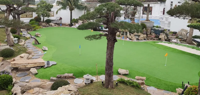 Sản phẩm san golf mini 1 — Công Ty TNHH Đầu Tư Phát Triển Phúc Thiên Lộc — MST 0106044800