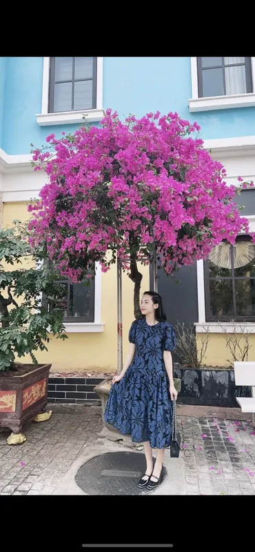 Sản phẩm Giang sale — Công Ty Cổ Phần Giặt Là Nhật Bản — MST 0106061556