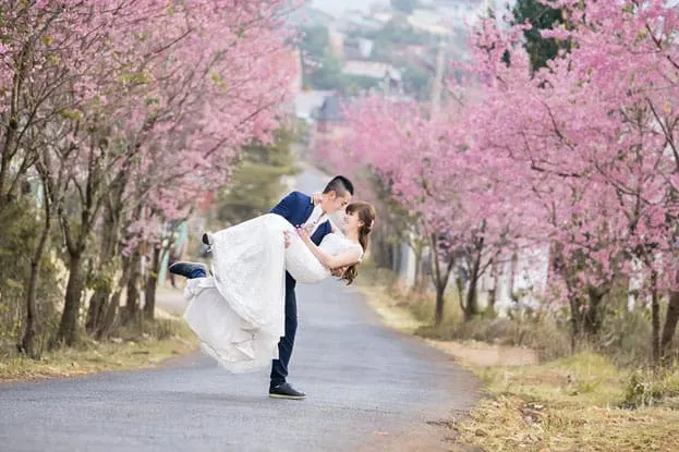 Sản phẩm 1502119120_in thiep cuoi 0708 08 — Công Ty TNHH Mã Đại Phúc — MST 0106072773