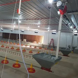 Sản phẩm 20171220_141900 300x300 — Thiết Bị Chăn Nuôi Sơn Phương - Công Ty TNHH Một Thành Viên Phát Triển Sơn
Phương — MST 0106075157
