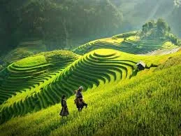 Sản phẩm download 5 — Công Ty Cổ Phần Thương Mại Và Dịch Vụ Du Lịch Mặt Trời Việt — MST 0106080238