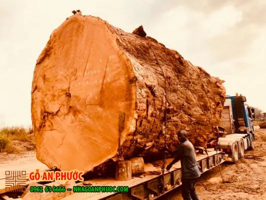Sản phẩm go nhap khau chau phi 533x400 — Gỗ An Phước - Công Ty TNHH Thương Mại Và Xây Dựng Chế Biến Lâm Sản An Phước — MST 0106087579