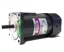 Sản phẩm dong co spg 3 pha 200w s10i200gt 1b 210x170 — Công Ty Cổ Phần Sandi Việt Nam — MST 0106105940