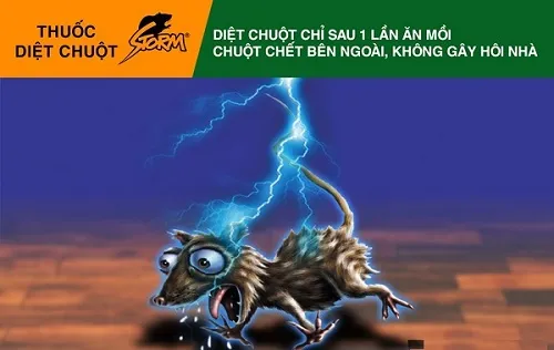 Sản phẩm 180102070030diet chuot 3(6) — Dịch Vụ Diệt Côn Trùng Hà Nội - Công Ty TNHH Diệt Mối Và Côn Trùng Hà Nội — MST 0106107289