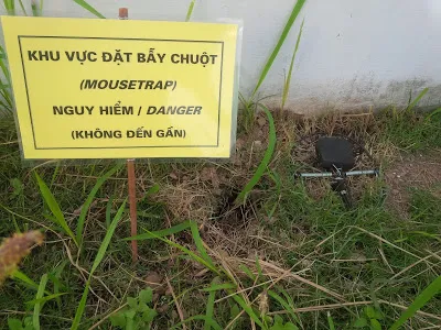 Sản phẩm 171229033047dat bay chuot — Dịch Vụ Diệt Côn Trùng Hà Nội - Công Ty TNHH Diệt Mối Và Côn Trùng Hà Nội — MST 0106107289