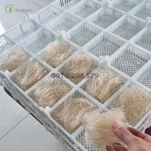 Sản phẩm khay say dinh hinh 312x312 — Công Ty Cổ Phần Sản Xuất Và Đầu Tư Hà Bắc — MST 0106134998