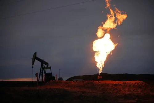 Sản phẩm thong tin gas va gia gas hom nay 19 11 2024 1 — Công Ty TNHH Gas Petrolimex Hà Nội — MST 0106140303