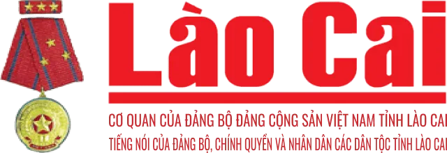 Sản phẩm lao cai — Công Ty Cổ Phần Xây Dựng Thương Mại Và Dịch Vụ Phát An — MST 0106182247
