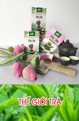 Sản phẩm cate 3 — Công Ty TNHH Thương Mại Và Dịch Vụ Kỹ Thuật Thiên Linh FSC — MST 0106185255