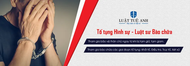 Sản phẩm slide hinh su — Công Ty Luật TNHH Tuệ Anh — MST 0106185978