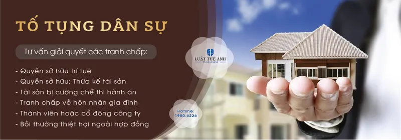 Sản phẩm slide luat dan su — Công Ty Luật TNHH Tuệ Anh — MST 0106185978