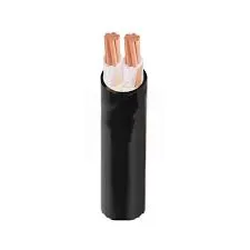 Sản phẩm CXV 2x — Dây Cáp Điện Thủ Đô - Công Ty TNHH Cáp Điện Và Thiết Bị Thủ Đô — MST 0106196338