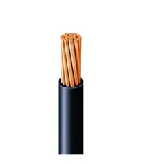 Sản phẩm Cáp CV — Dây Cáp Điện Thủ Đô - Công Ty TNHH Cáp Điện Và Thiết Bị Thủ Đô — MST 0106196338