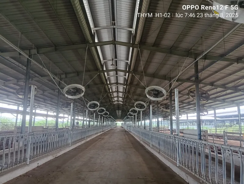 Sản phẩm IMG20250823074658 scaled — Quạt Trần Công Nghiệp HVLS - Công Ty Cổ Phần Cơ Điện Và Xuất Nhập Khẩu Toàn Cầu — MST 0106200866