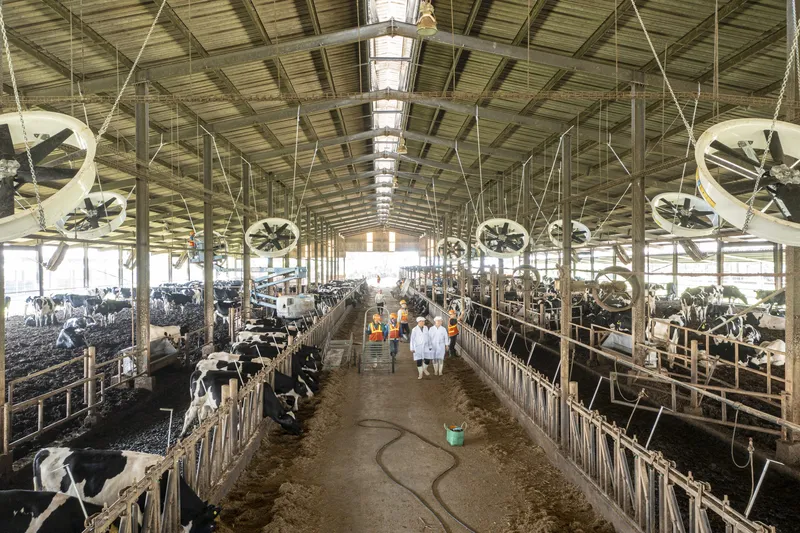 Sản phẩm TH true milk scaled — Quạt Trần Công Nghiệp HVLS - Công Ty Cổ Phần Cơ Điện Và Xuất Nhập Khẩu Toàn Cầu — MST 0106200866