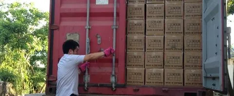 Sản phẩm 9. Dong Cont 480x198 — Công Ty Cổ Phần Pink fire Việt Nam — MST 0106201718