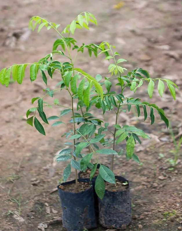 Sản phẩm 3bfc47fef1740e313386f8b1539a210c e1715844153319 — Công Ty Cổ Phần Hệ Sinh Thái Công Nghệ Việt Nam — MST 0106202327