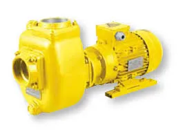 Sản phẩm self priminh pump.jpg 1 — Công Ty TNHH TM Và DV Kỹ Thuật Sơn Tùng — MST 0106205776