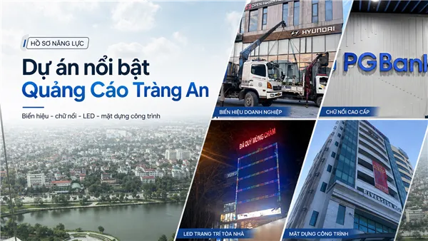 Sản phẩm 134215754773218434 — Công Ty Cổ Phần Quốc Tế Tràng An Plaza — MST 0106206466