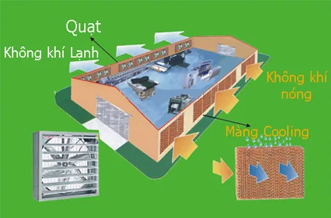 Sản phẩm 3 1 — Công Ty TNHH XNK & Xây Dựng Thành Hải — MST 0106214731