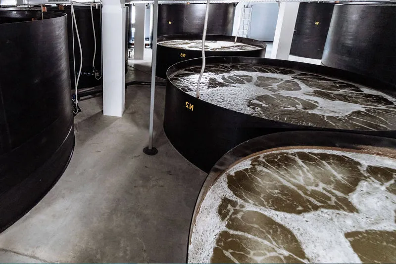 Sản phẩm aquionics aquanology aquaculture 1200x801 800x534 1 — Công Ty Cổ Phần Xây Dựng Công Nghệ VIETNAMPOOL — MST 0106218863