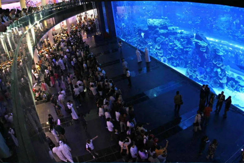 Sản phẩm aquionics dubaimall aquarium 1200x801 800x534 1 — Công Ty Cổ Phần Xây Dựng Công Nghệ VIETNAMPOOL — MST 0106218863