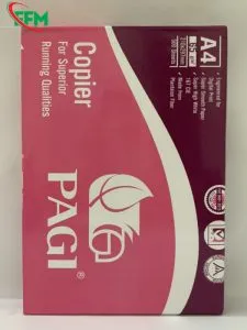 Sản phẩm Giay in PAGI A4 DL 65gsm 1 600x801 1 225x300 — Văn Phòng Phẩm Kinh Bắc — MST 0106219377