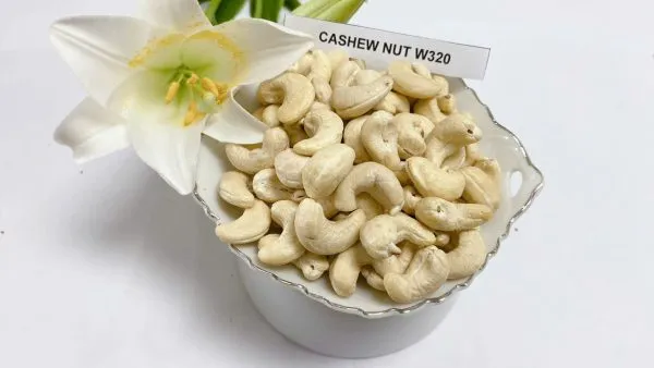 Sản phẩm Cashew Nuts W320 3 600x338 — Công Ty Cổ Phần Phalco Việt Nam — MST 0106224666