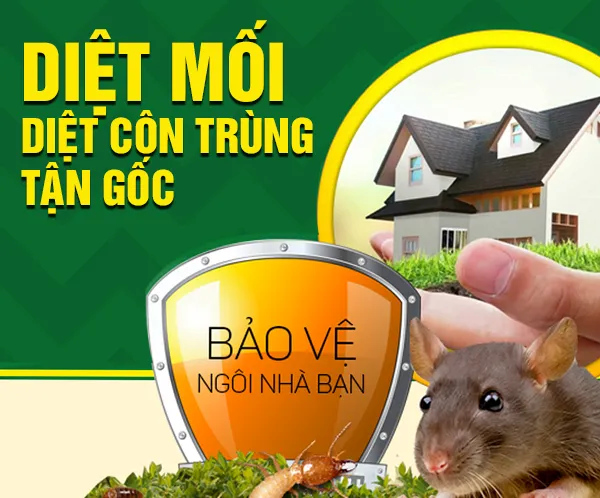 Sản phẩm GT — Trừ Mối Khử Trùng Hải Lâm - Công Ty Cổ Phần Chống Mối Khử Trùng Hải Lâm — MST 0106226695