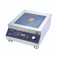 Sản phẩm bep tu cong nghiep mat phang 5kw 200x200 — Công Ty Cổ Phần ANY Việt Nam — MST 0106236615