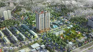 Sản phẩm phoi canh chung cu pcc1 thanh xuan — Công Ty TNHH Xây Dựng Và Thương Mại Sasico Việt Nam — MST 0106239824