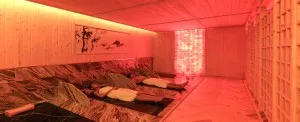 Sản phẩm xông hơi da muoi — Công Ty Cổ Phần Tanaso Việt Nam — MST 0106241710