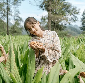 Sản phẩm dace_top2 1 — Nông Sản Gia Vị DACE - Công Ty TNHH Phát Triển Nông Nghiệp Và Tư Vấn Môi Trường
(DACE) — MST 0106302240