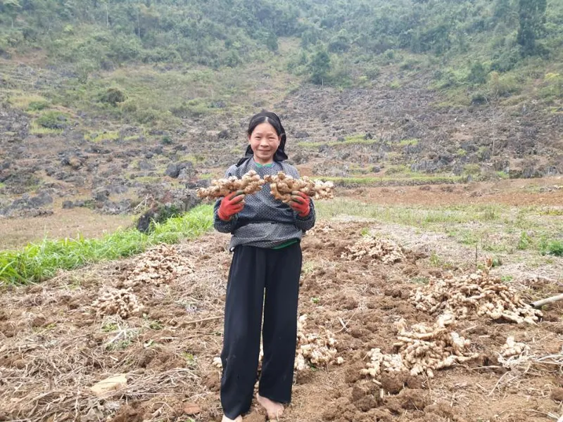 Sản phẩm anh_Viber_2023 02 02_15 56 19 397 — Nông Sản Gia Vị DACE - Công Ty TNHH Phát Triển Nông Nghiệp Và Tư Vấn Môi Trường
(DACE) — MST 0106302240