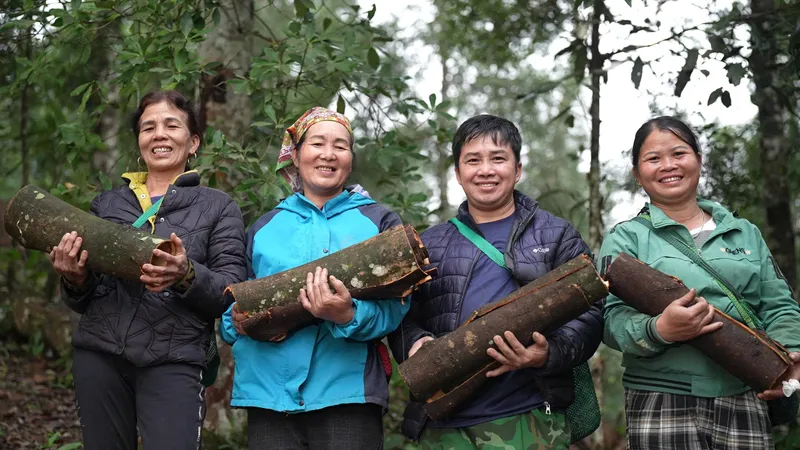 Sản phẩm Cassia Crop 4 — Nông Sản Gia Vị DACE - Công Ty TNHH Phát Triển Nông Nghiệp Và Tư Vấn Môi Trường
(DACE) — MST 0106302240