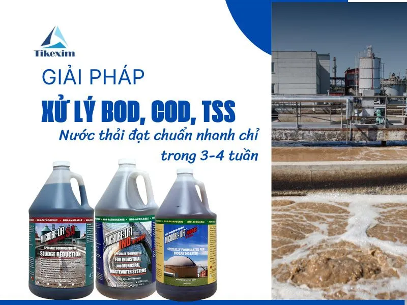 Sản phẩm GIAI PHAP XU LY BOD COD TSS Thien Khanh — Công Ty TNHH Xuất Nhập Khẩu Thiên Khánh — MST 0106305273