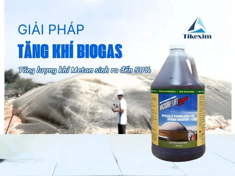 Sản phẩm Giai Phap Tang Khi Biogas Thien Khanh — Công Ty TNHH Xuất Nhập Khẩu Thiên Khánh — MST 0106305273