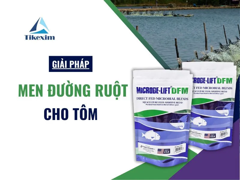 Sản phẩm giai phap men duong ruot cho tom Thien Khanh — Công Ty TNHH Xuất Nhập Khẩu Thiên Khánh — MST 0106305273