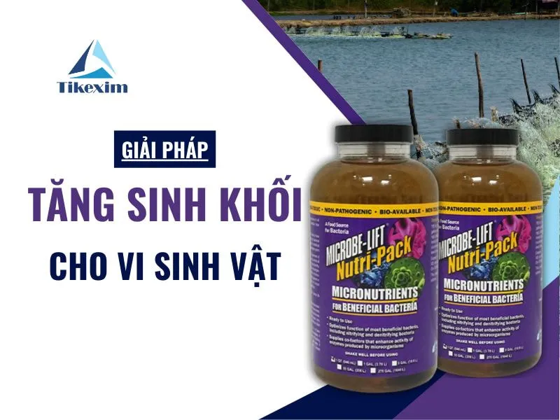 Sản phẩm giai phap tang sinh khoi cho vi sinh vat Thien Khanh — Công Ty TNHH Xuất Nhập Khẩu Thiên Khánh — MST 0106305273