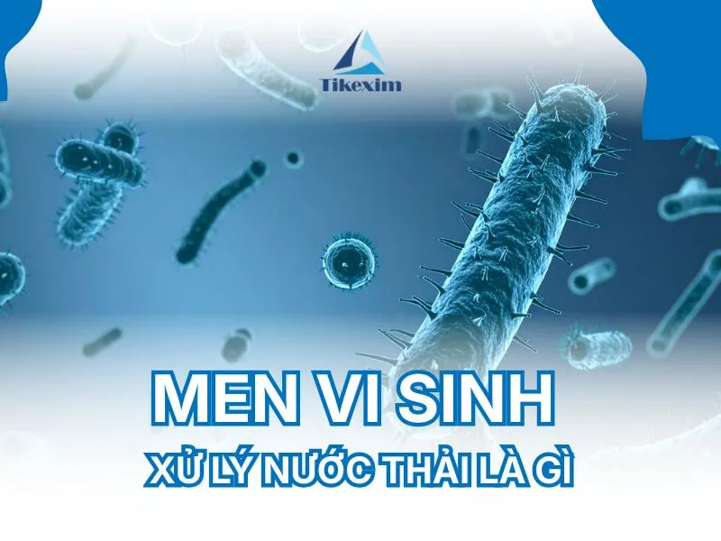 Sản phẩm men vi sinh xu ly nuoc thai Thien Khanh — Công Ty TNHH Xuất Nhập Khẩu Thiên Khánh — MST 0106305273